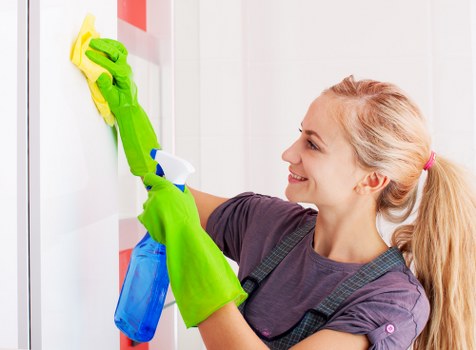Professional mattress cleaning in a modern bedroom
