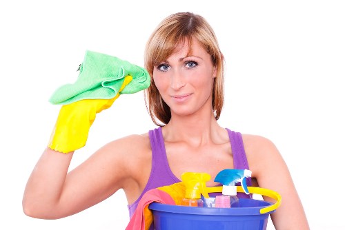 Pet stain odour removal in carpeted living room