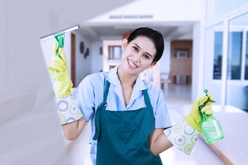 Deep cleaning pet odour from home furnishings