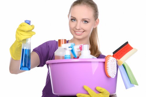 Pet stain odour removal on rug and carpet area