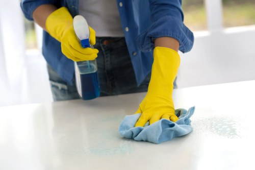 Enzyme cleaner for pet stain odour removal